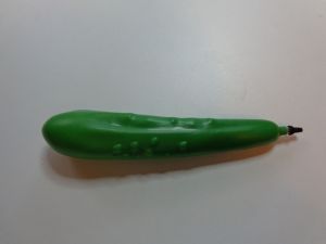 pickle pen